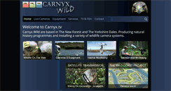 Desktop Screenshot of carnyx.tv