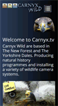 Mobile Screenshot of carnyx.tv